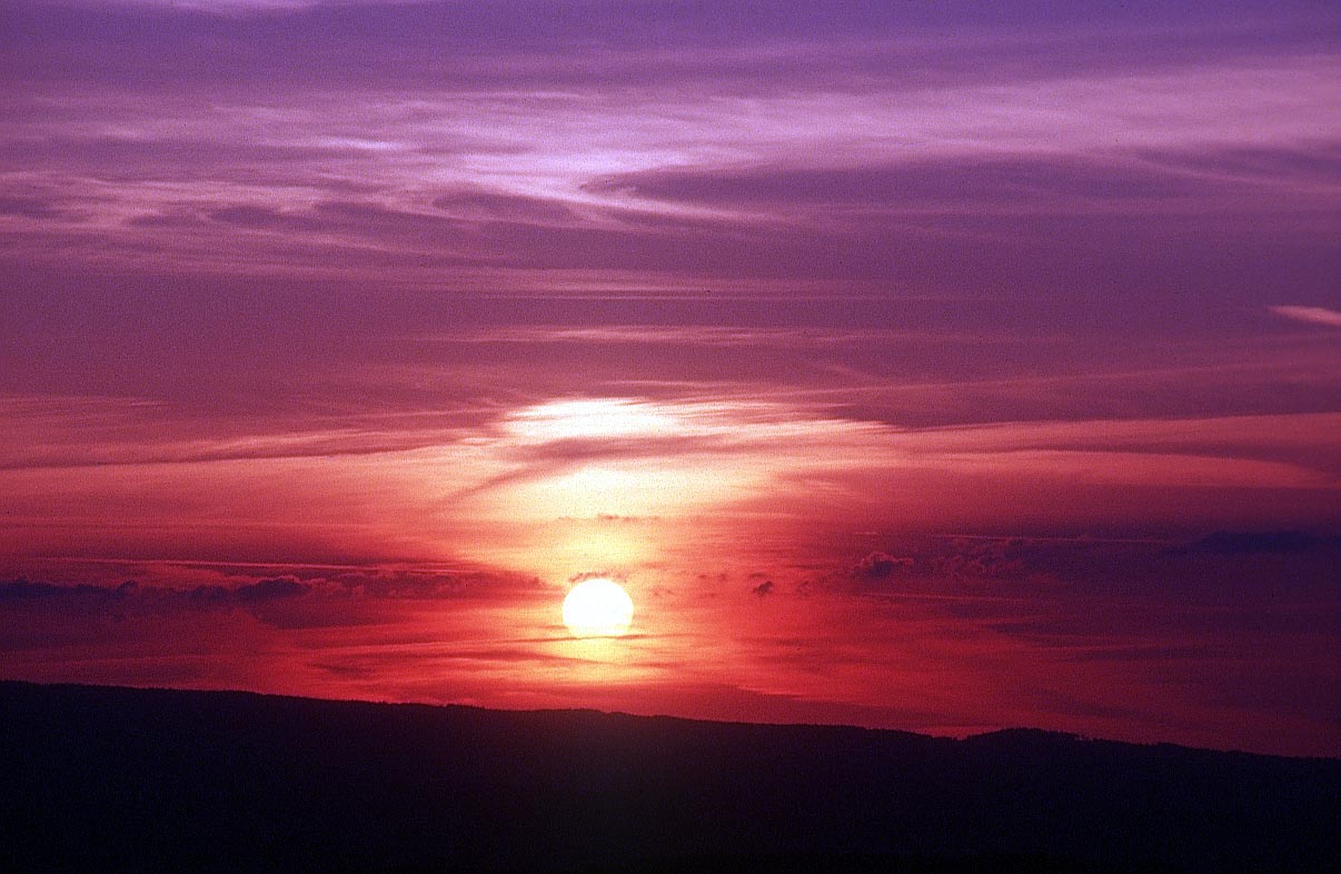 sky_sky-ynx.jpg