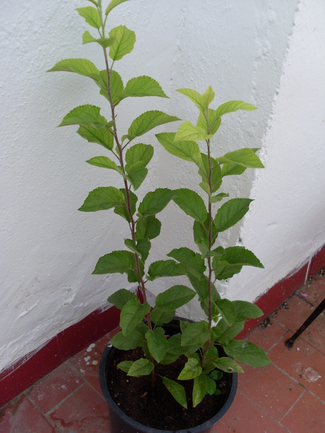 sl370028.jpg