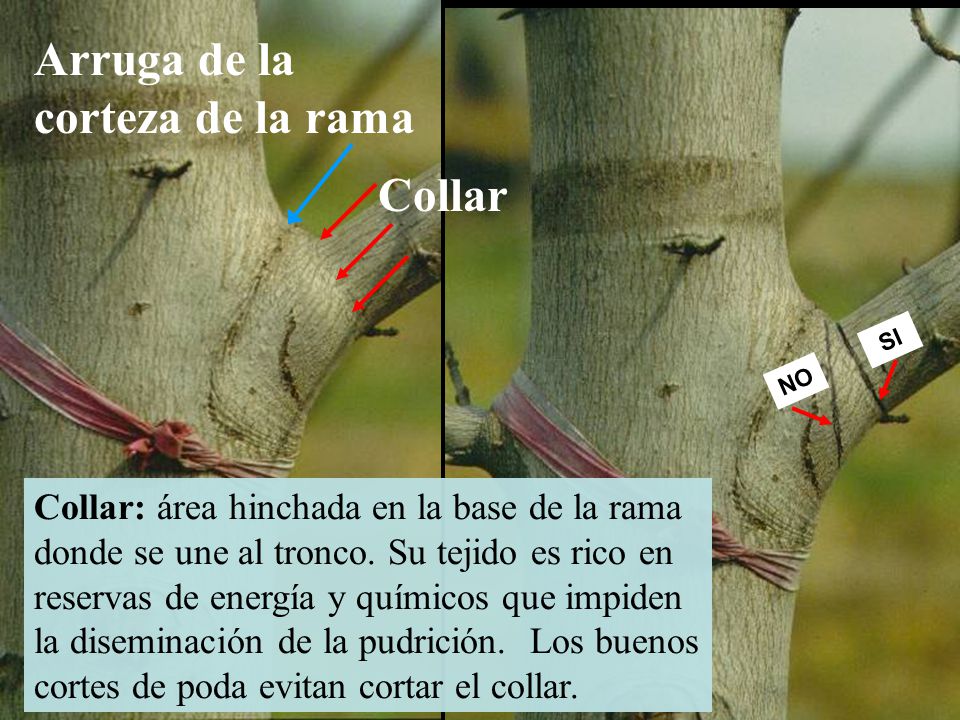 slide_35.jpg