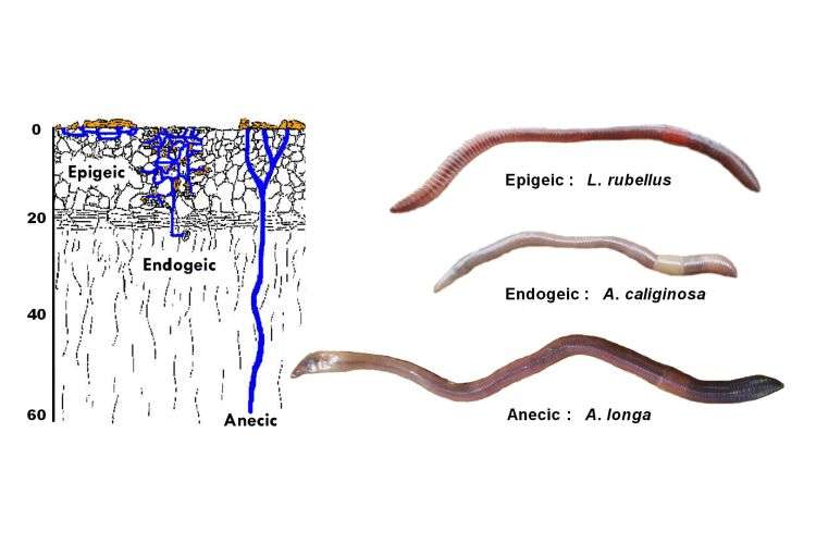sN6XxE.jpg