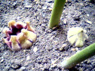 snapshot-12.jpg