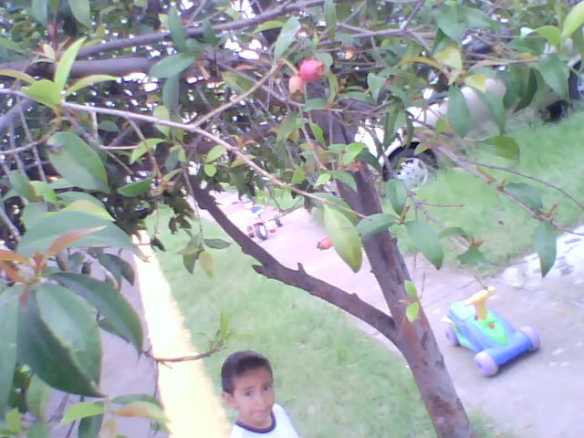 Snapshot_20100925_4.jpg
