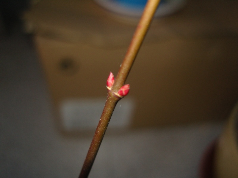 snc10711.jpg