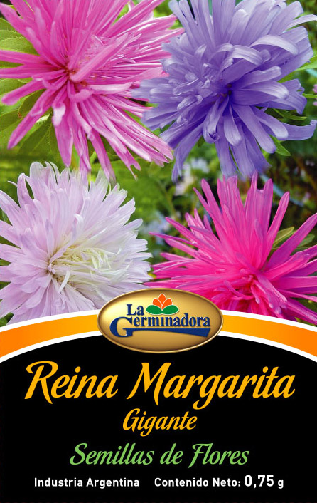 SOBRE-REINA-MARG-GIG-CH.jpg