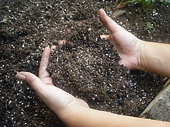 soil.jpg