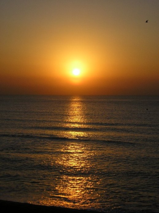 SolBrumat_009.jpg