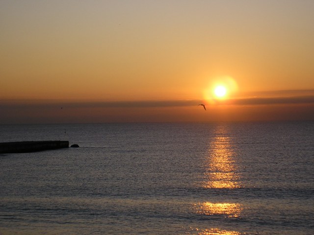 SolGavina_012.jpg