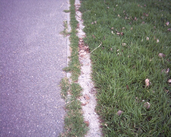 sols_004_.jpg