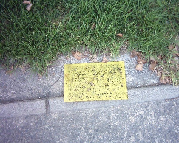 sols_005_.jpg