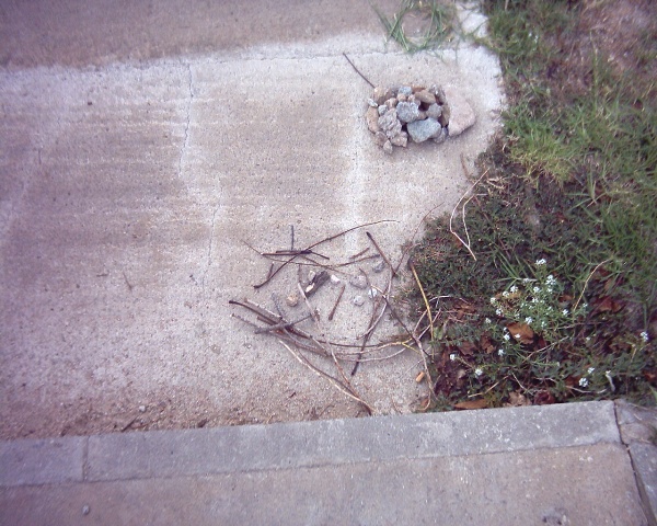 sols_006_.jpg