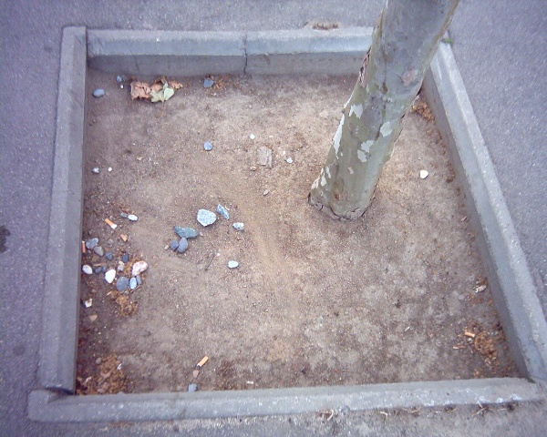 sols_008_.jpg