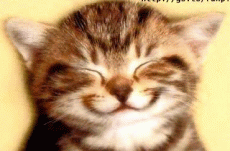 sonrisa.gif