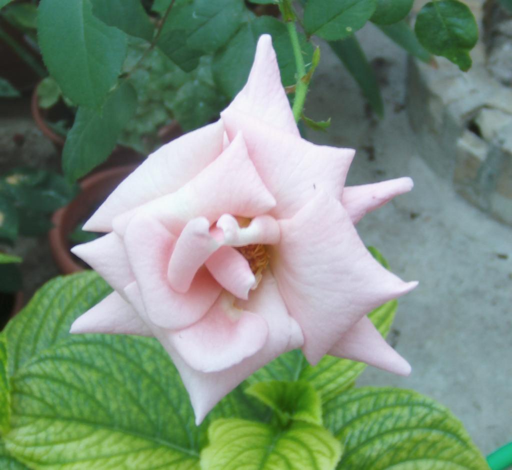 soquiet2_zpsd8679b9f.jpg