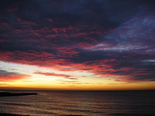 SostreRosa_061.JPG