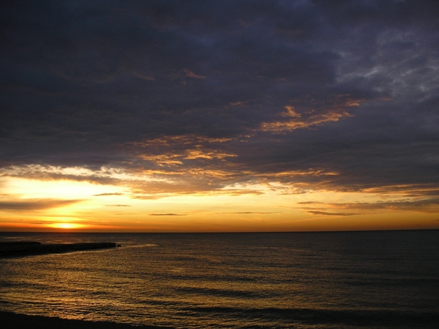 SostreRosa_098.JPG