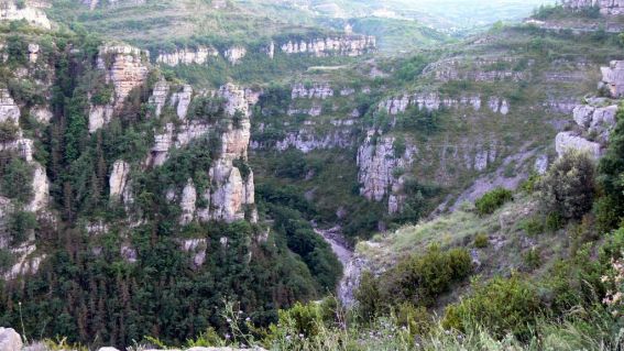 soto-en-cameros-canon-del-rio-leza_273108.jpg