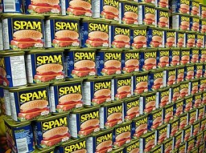 spam-300x224.jpg