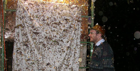 species-bahav-banner_89864_1.jpg