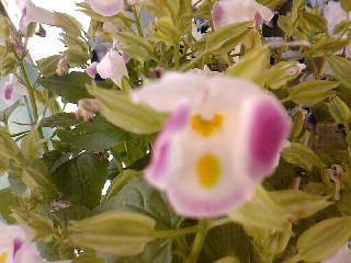 SPM_A0407.jpg