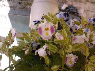SPM_A0409.jpg