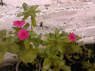 SPM_A0643_zps5bcd09e8.jpg