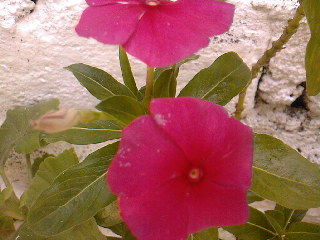 SPM_A0644_zps81cb6333.jpg