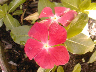 SPM_A0647_zps4157b454.jpg