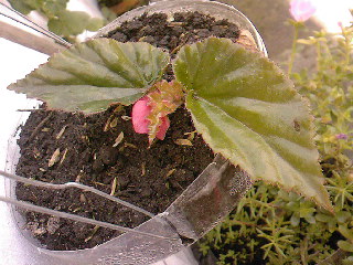 SPM_A0654_zps2d8789b3.jpg