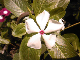 SPM_A0658_zpsdcdb68c6.jpg