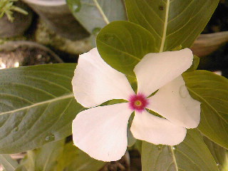 SPM_A0659_zps34b05bd6.jpg