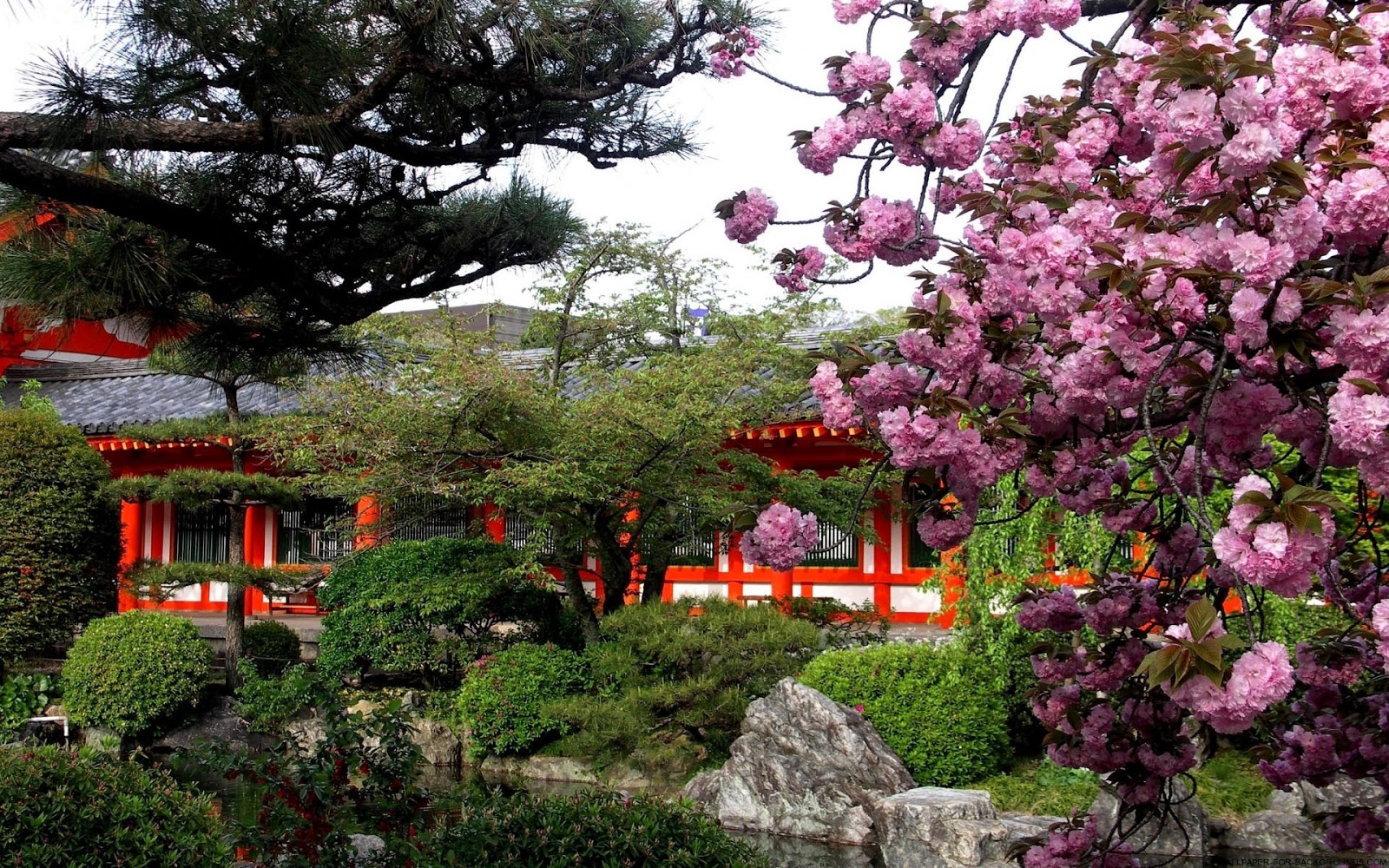 Spring-in-Japan.jpg