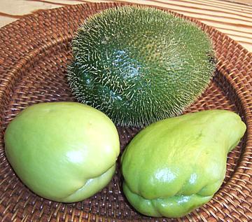 sq_chayote01f.jpg