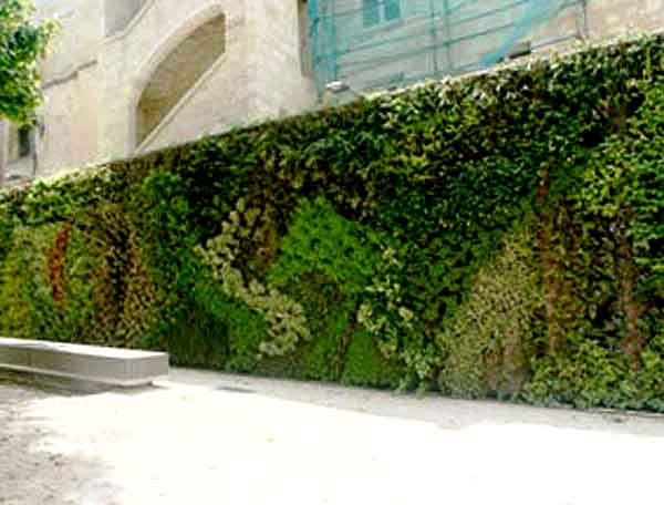 square-vinetbordeaux3.jpg