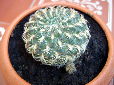 STA60001.JPG