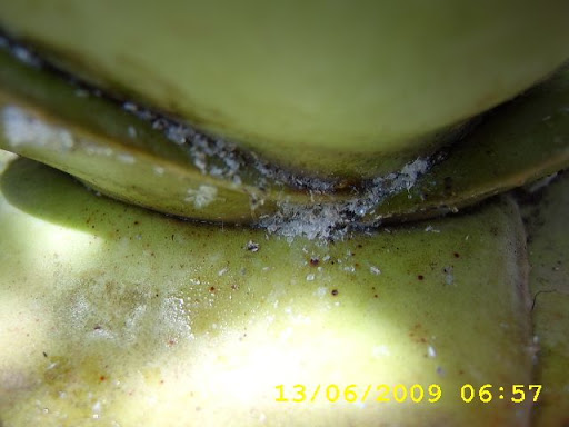 STA60018.JPG