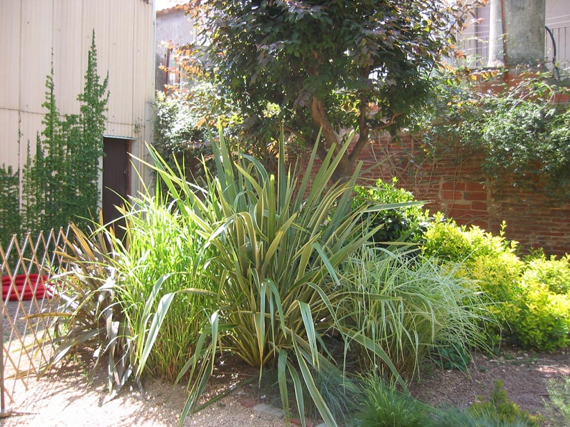 STA_1180.jpg