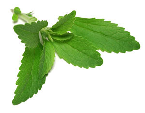 stevia_leaf.jpg