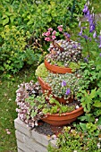 STF1705_CONTAINER_PYRAMID_WITH_SUCCULENTS_DESIGN_SUSANNA_KOMISCHKE.jpg