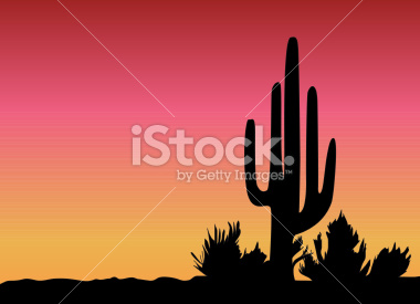 stock-illustration-491823-cactus-desert-sundown-vector.jpg
