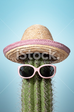 stock-photo-12481898-pink-mexico-cactus-summer-humor-heat-holiday-sunglasses-sombrero.jpg