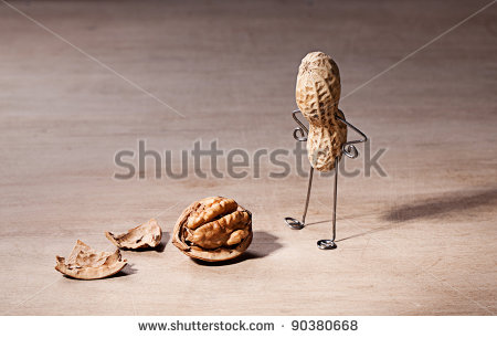 stock-photo-miniature-with-peanut-man-and-walnut-brain-90380668.jpg
