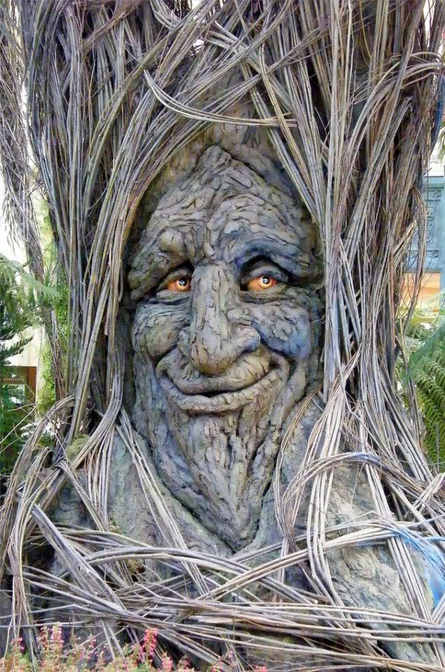 Strange_FunnyTrees_Have_a_Look__14se.jpg