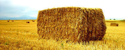 straw.jpg