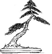 style-shakkan.jpg