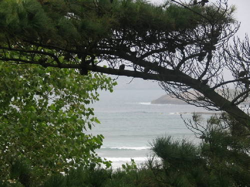 suances1.jpg
