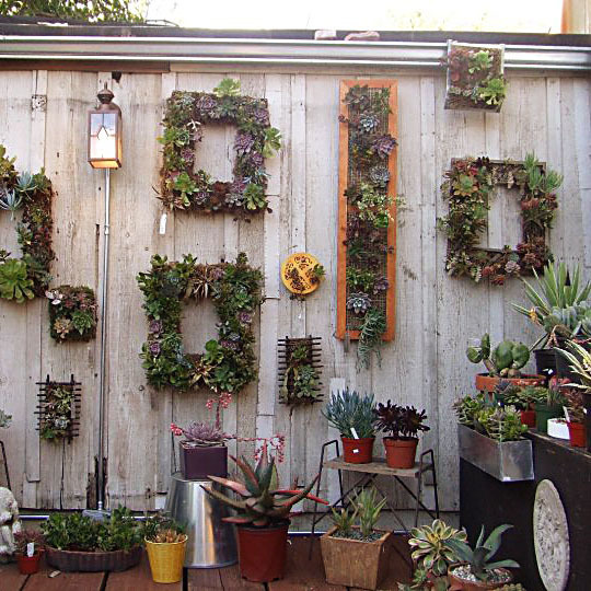Succulence_Vertical_Gardens_rect540.jpg
