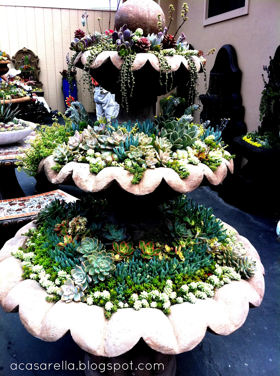 succulent+fountain+2.jpg