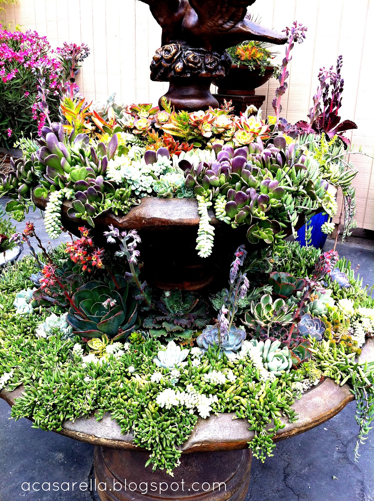 succulent+fountain1.jpg
