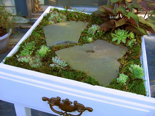 Succulent-Planter-Table.jpg
