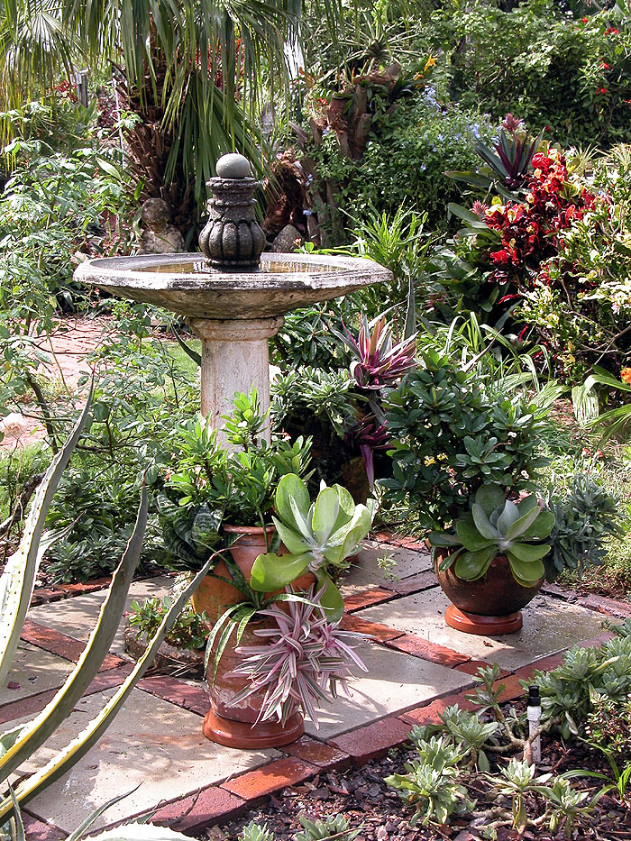 succulentcontainergarden.jpg